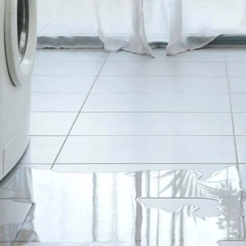Appliance Leak Cleanup in Carroll County, VA