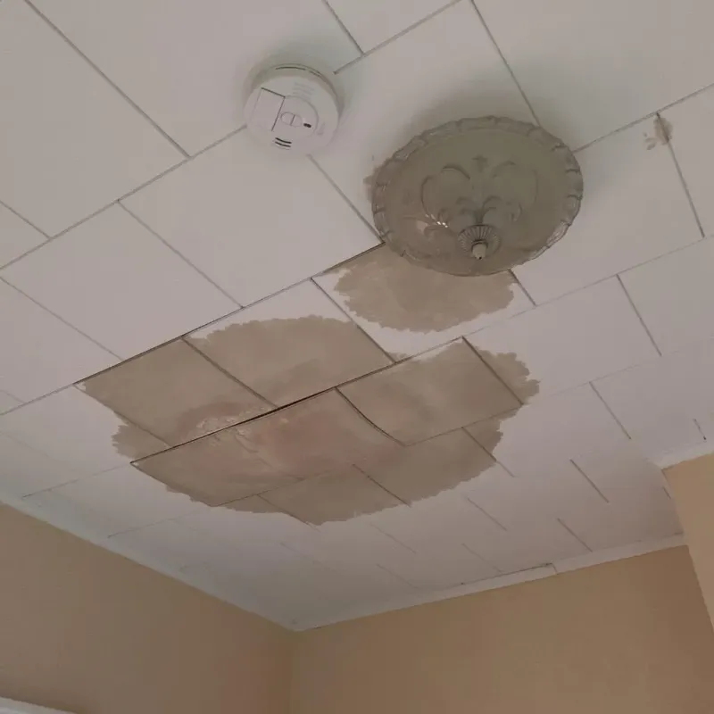 Ceiling Water Damage Repair in Carroll County, VA