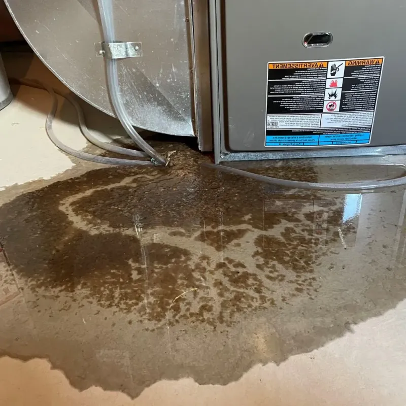 Pipe Burst and Leak Restoration in Carroll County, VA