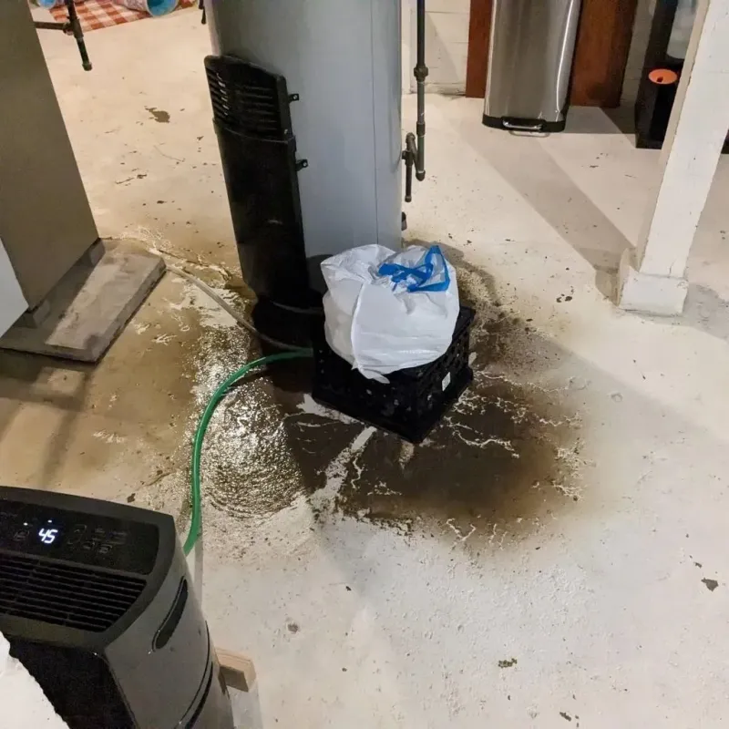 Sewage Backup Cleanup Service in Carroll County, VA